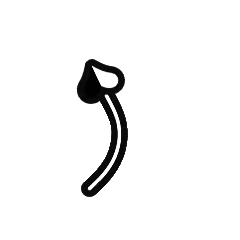 Tail 16